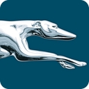 Greyhound logo